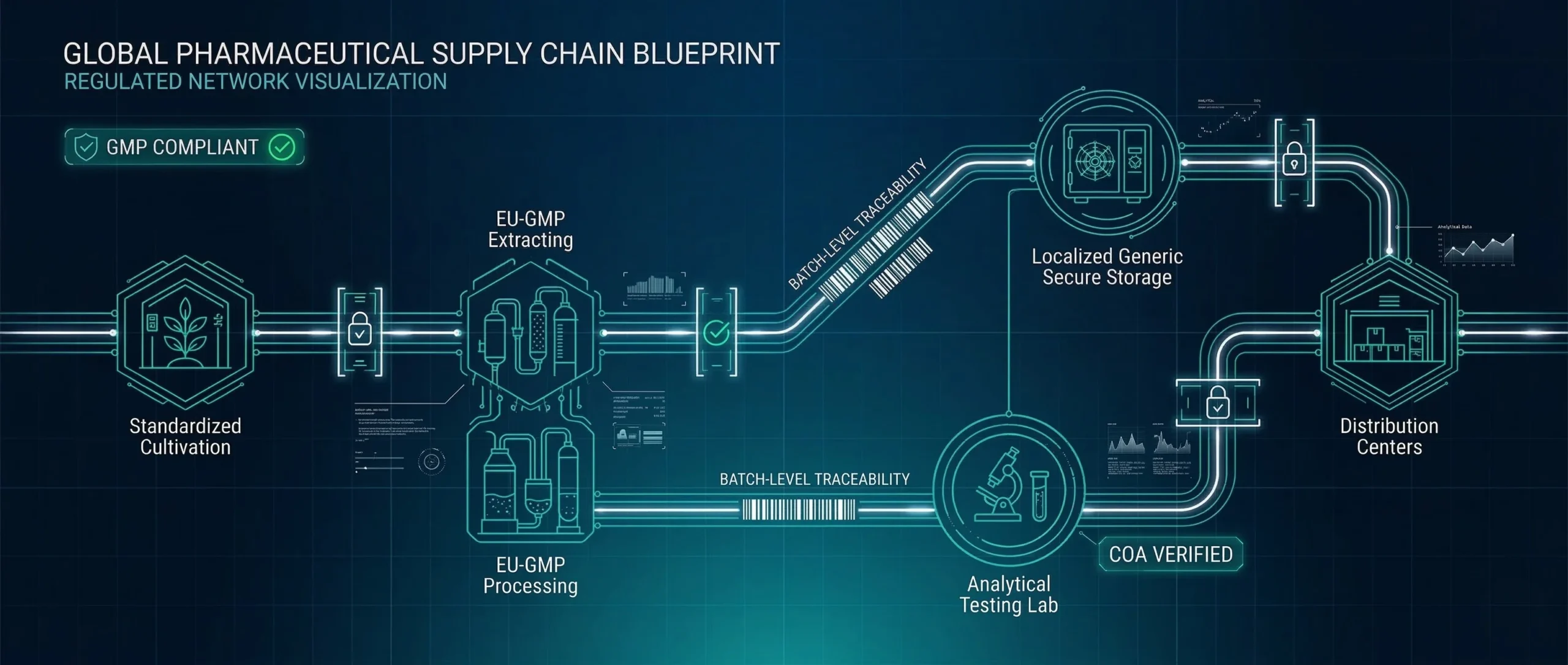 Supply Chain Visualization